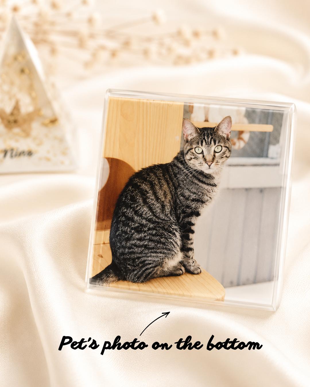 Option 3 - white resin pet memorial pyramid with real fur and gold leaf accent, engraved name Channel