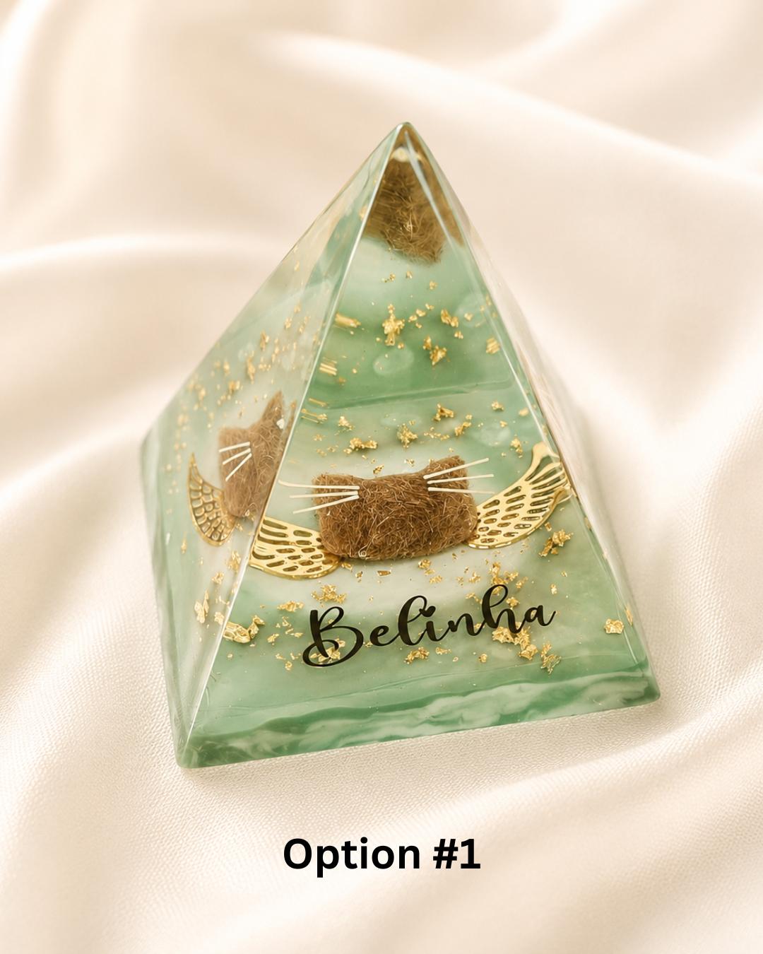 Option 2 - clear resin pet memorial pyramid with pet photo printed on multiple faces and soft watercolour background, engraved name Nietzsche