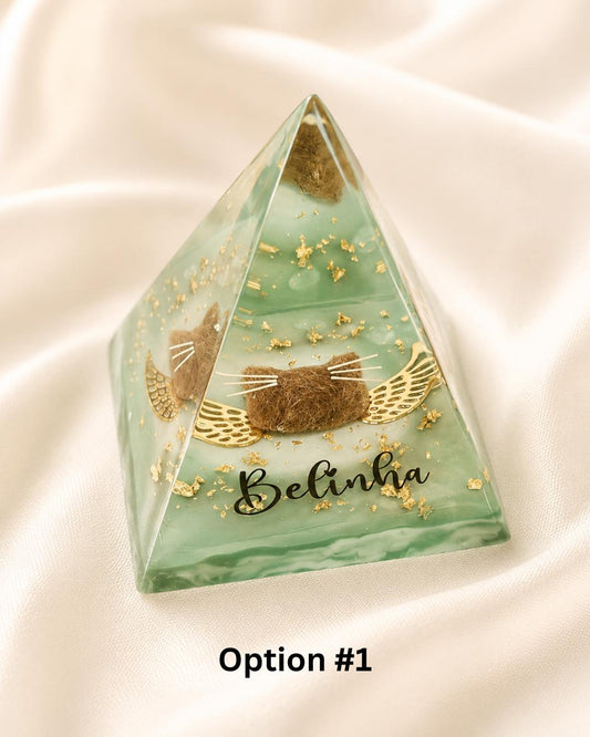 Option 2 - clear resin pet memorial pyramid with pet photo printed on multiple faces and soft watercolour background, engraved name Nietzsche