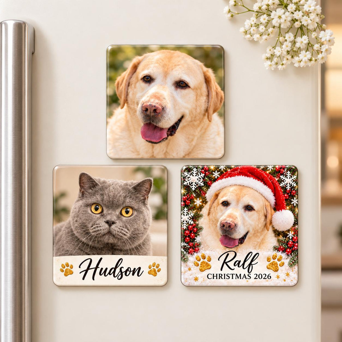 Personalised dog and cat photo magnets displayed on a fridge